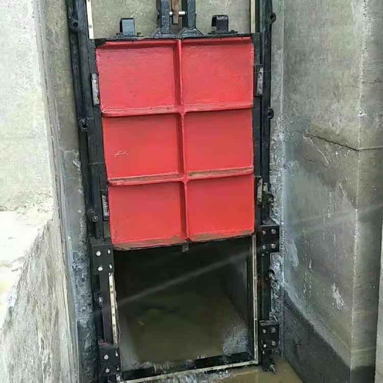 ���{���T�F���T